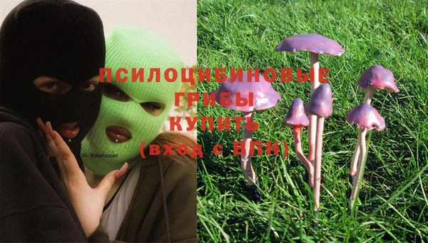 винт Арсеньев