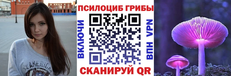 Галлюциногенные грибы MAGIC MUSHROOMS  Купить  Кашин 